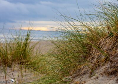 Norderney Bilder Strand